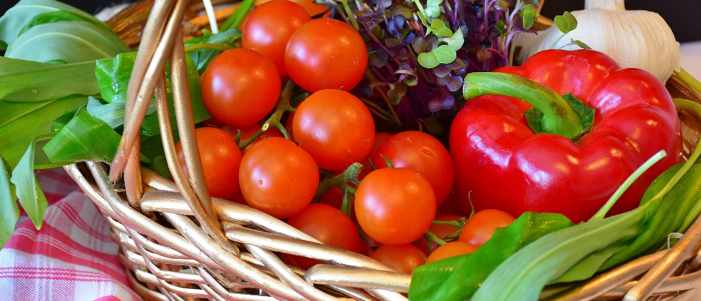 Food Service Management